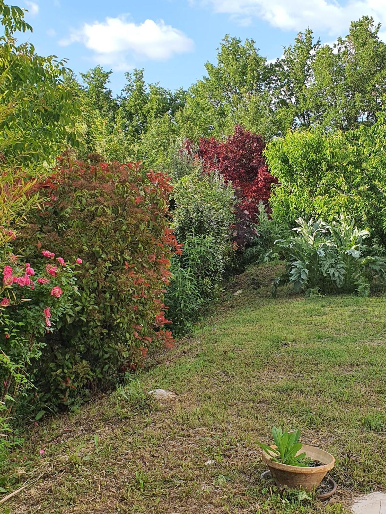 Hanna En Luberon - Le Boisset Saint-Martin-de-Castillon Exterior photo